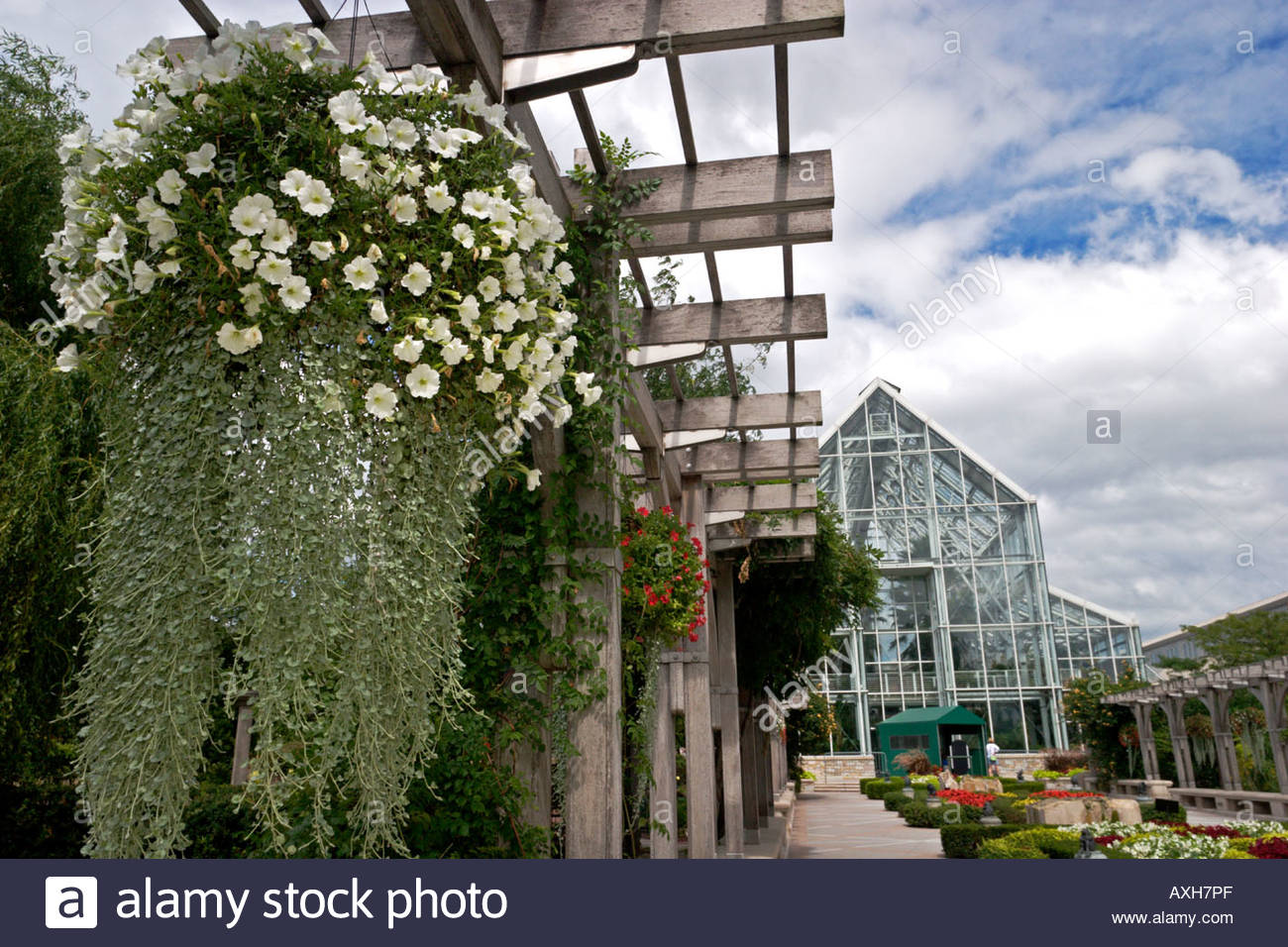 Flower Basket And Butterfly Atrium White River Gardens