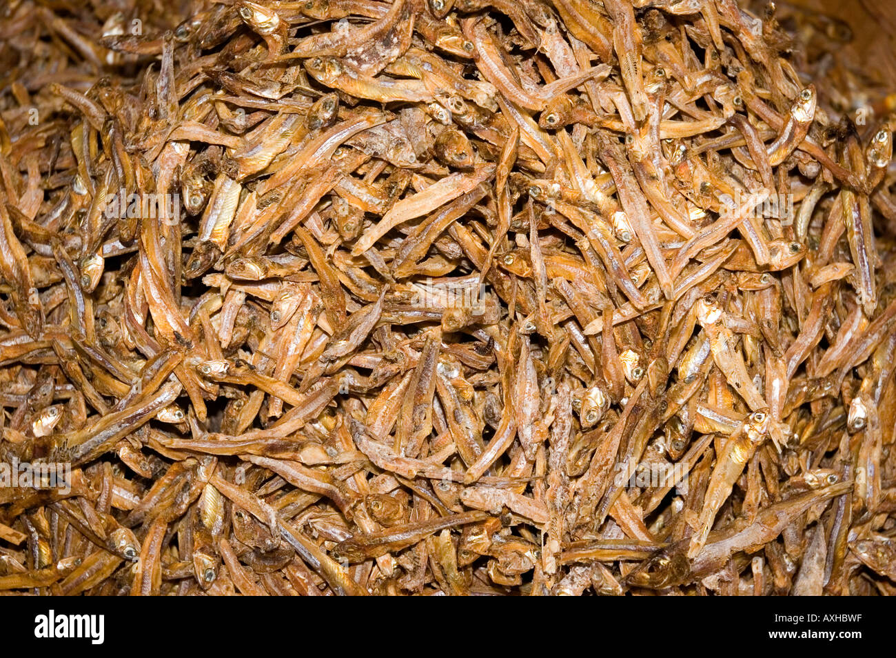 Dried tiny fish hi-res stock photography and images - Alamy