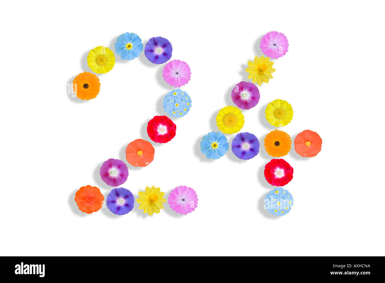 numbers written with flowers Stock Photo
