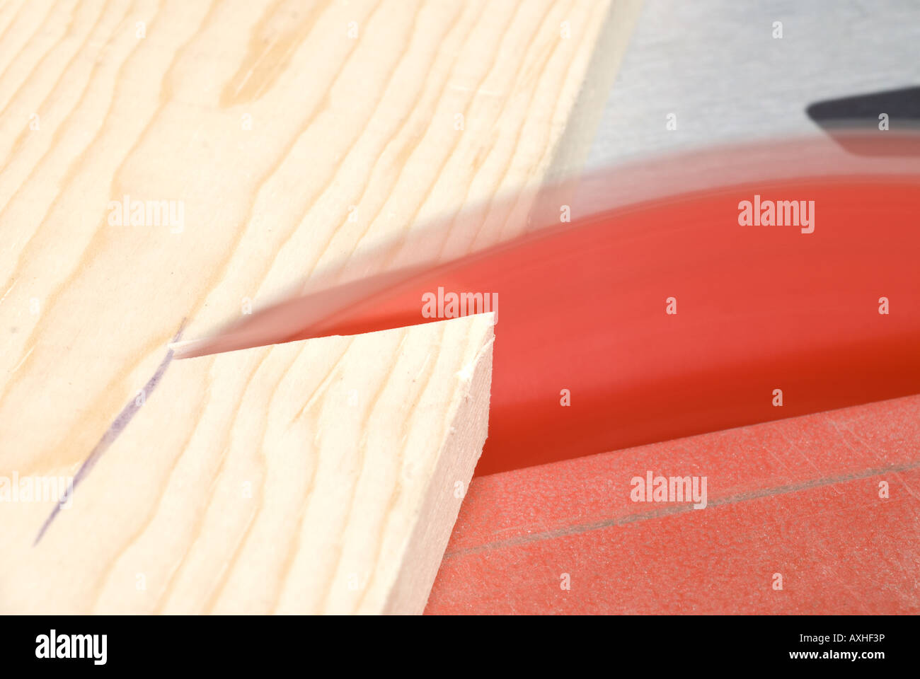 A spinning blade of a table saw cuts through a piece of pine Stock