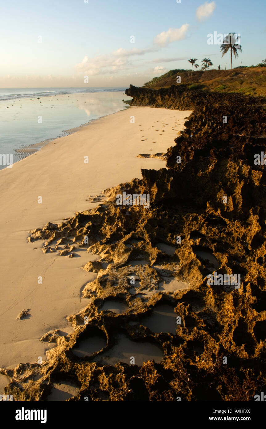 Tanzania Dar es Salaam Coco beach Stock Photo Alamy