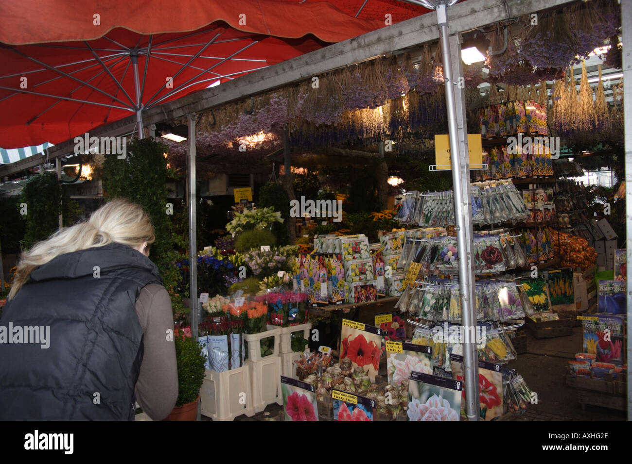 Flower Market, Amsterdam Stock Photo Alamy