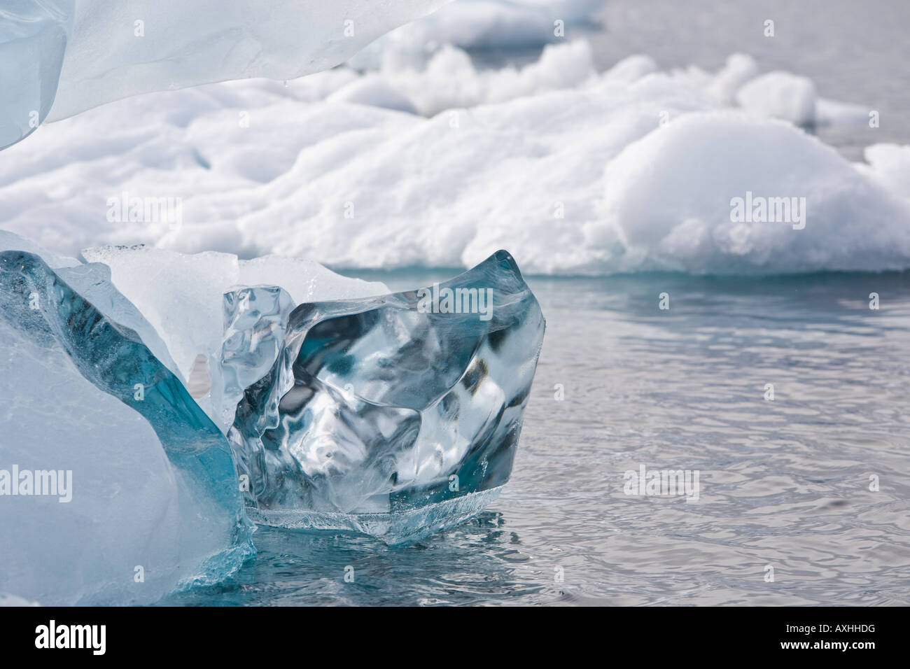 Crystal clear piece of iceberg floating in silvery blue Antarctic ...