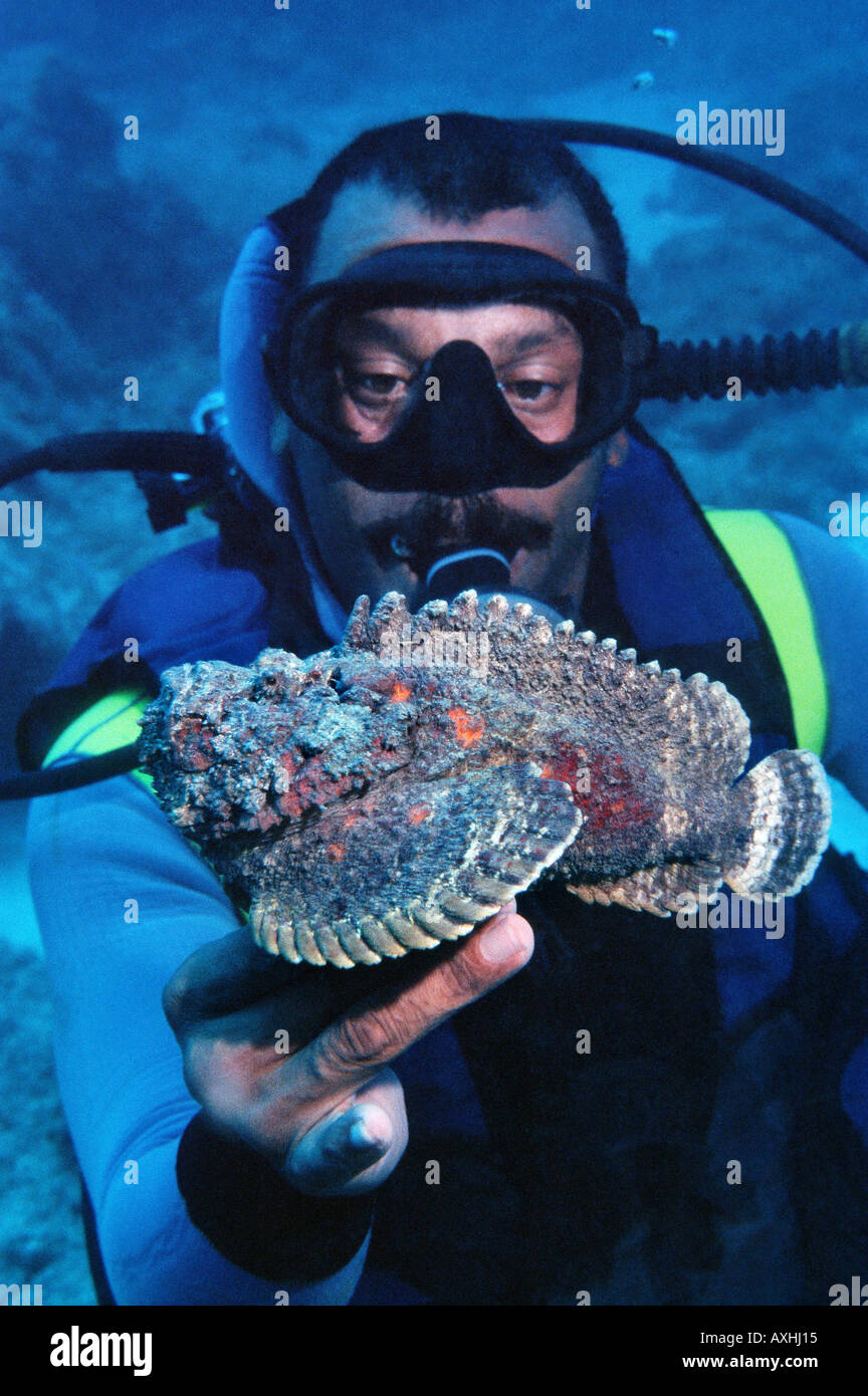 scubadiver holding a stonefish in his hand Stock Photo