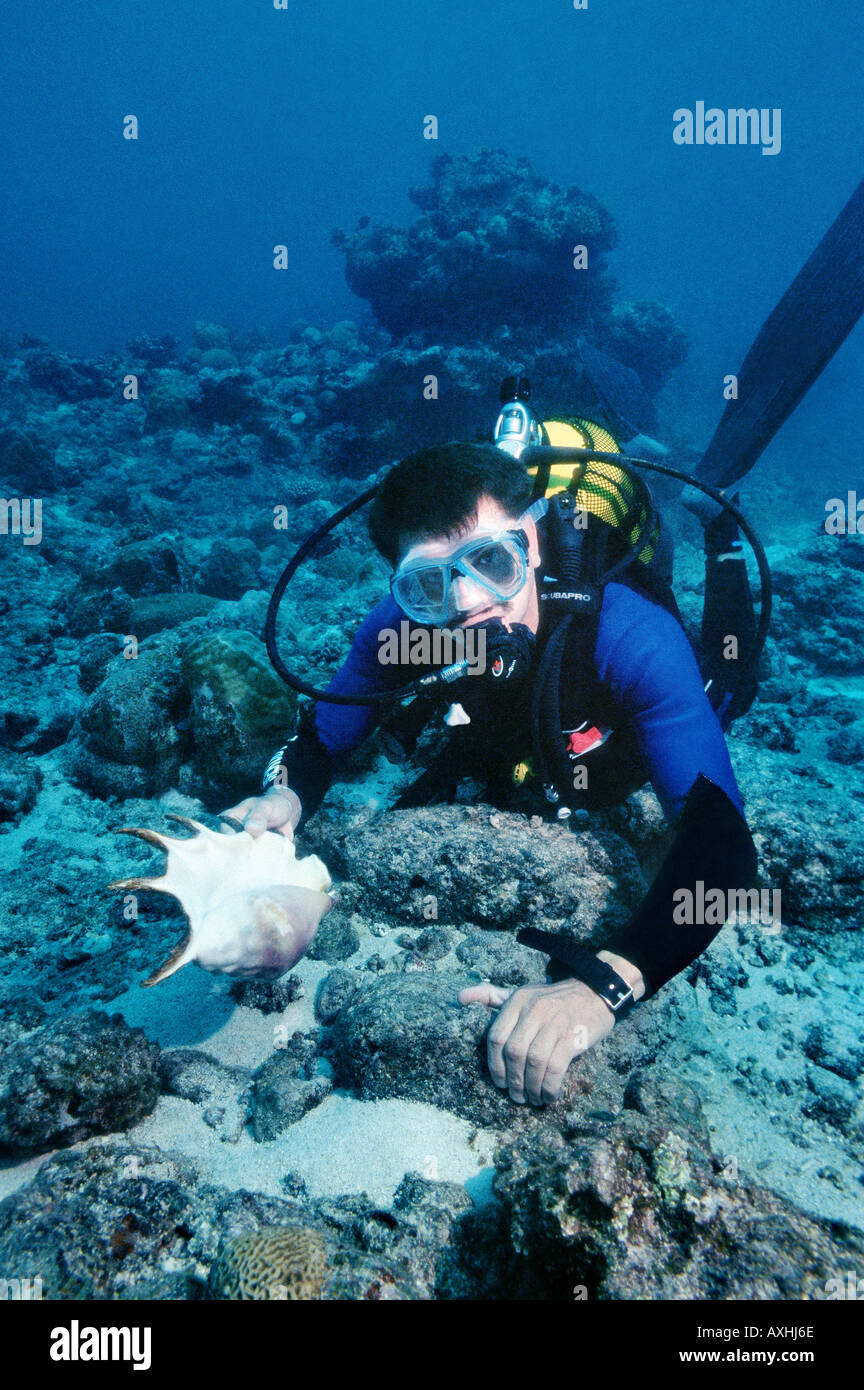 scubadiver showing a large sea shell Stock Photo