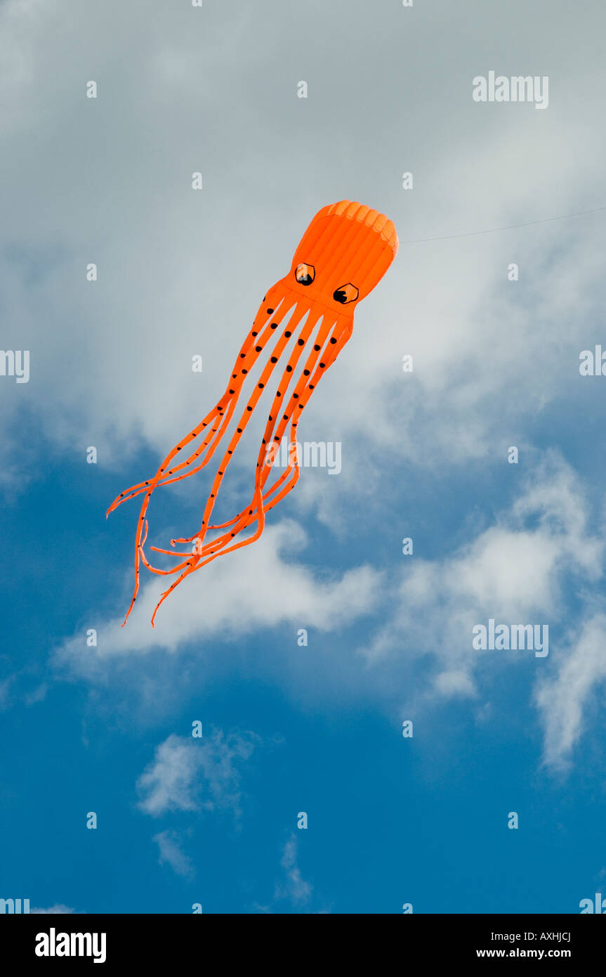 Purpose made kite being flown by Skyartists kite flying team Stock