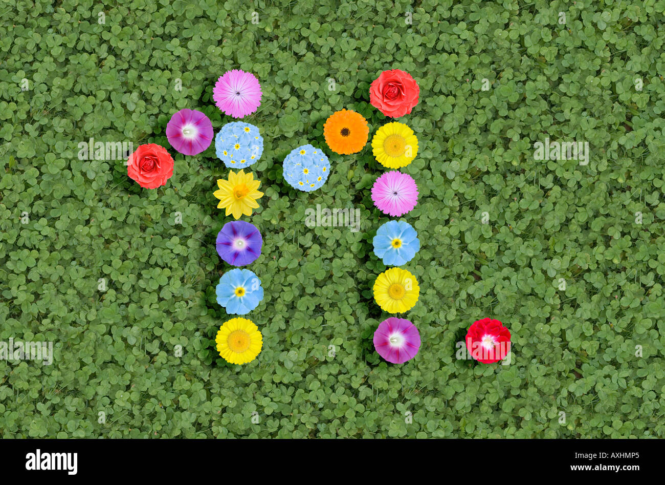 Numbers With Roses 11 numbers written with flowers 11th Stock Photo - Alamy