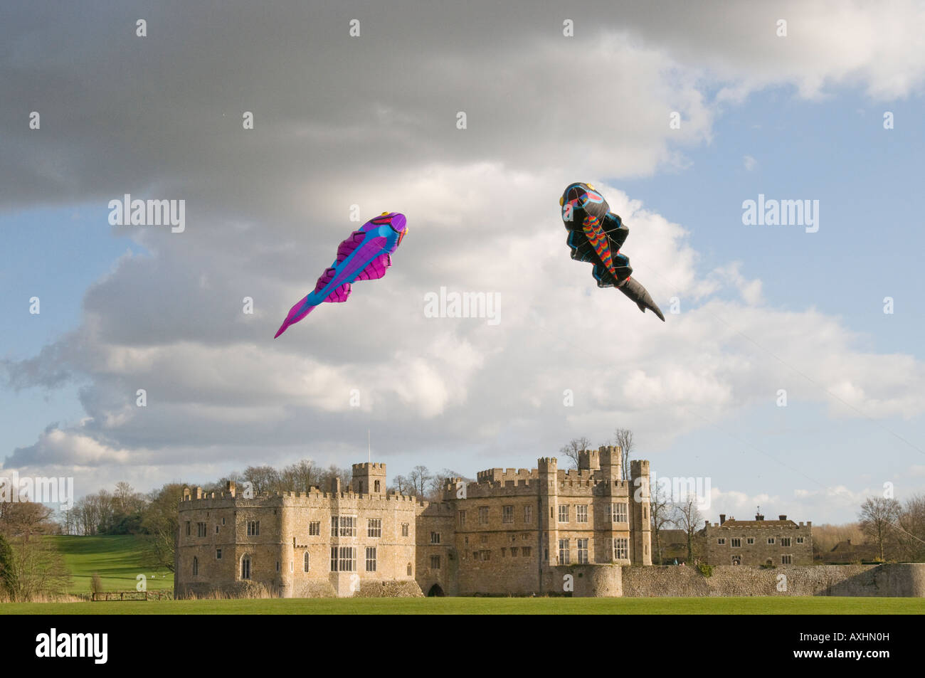 Kites over Leeds castle in Kent Stock Photo Alamy