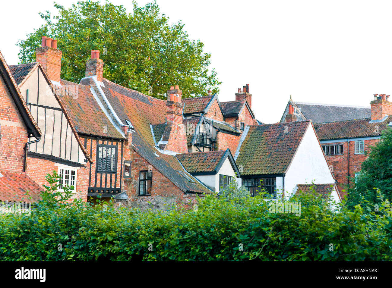 Rear of medieval houses in Elm Hill, Norwich, England Stock Photo Alamy