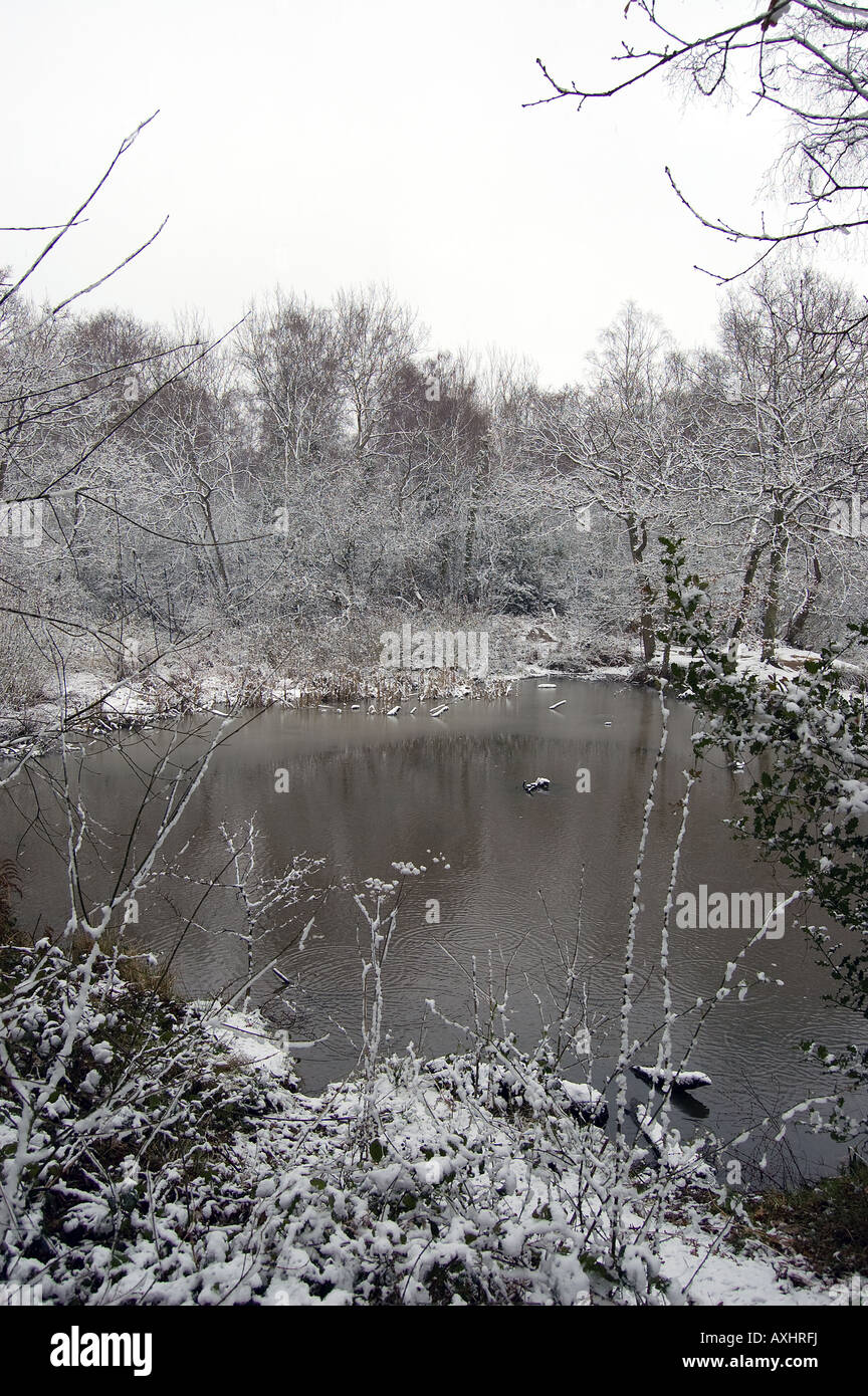 The pond in Galleywood Common with snow. Stock Photo