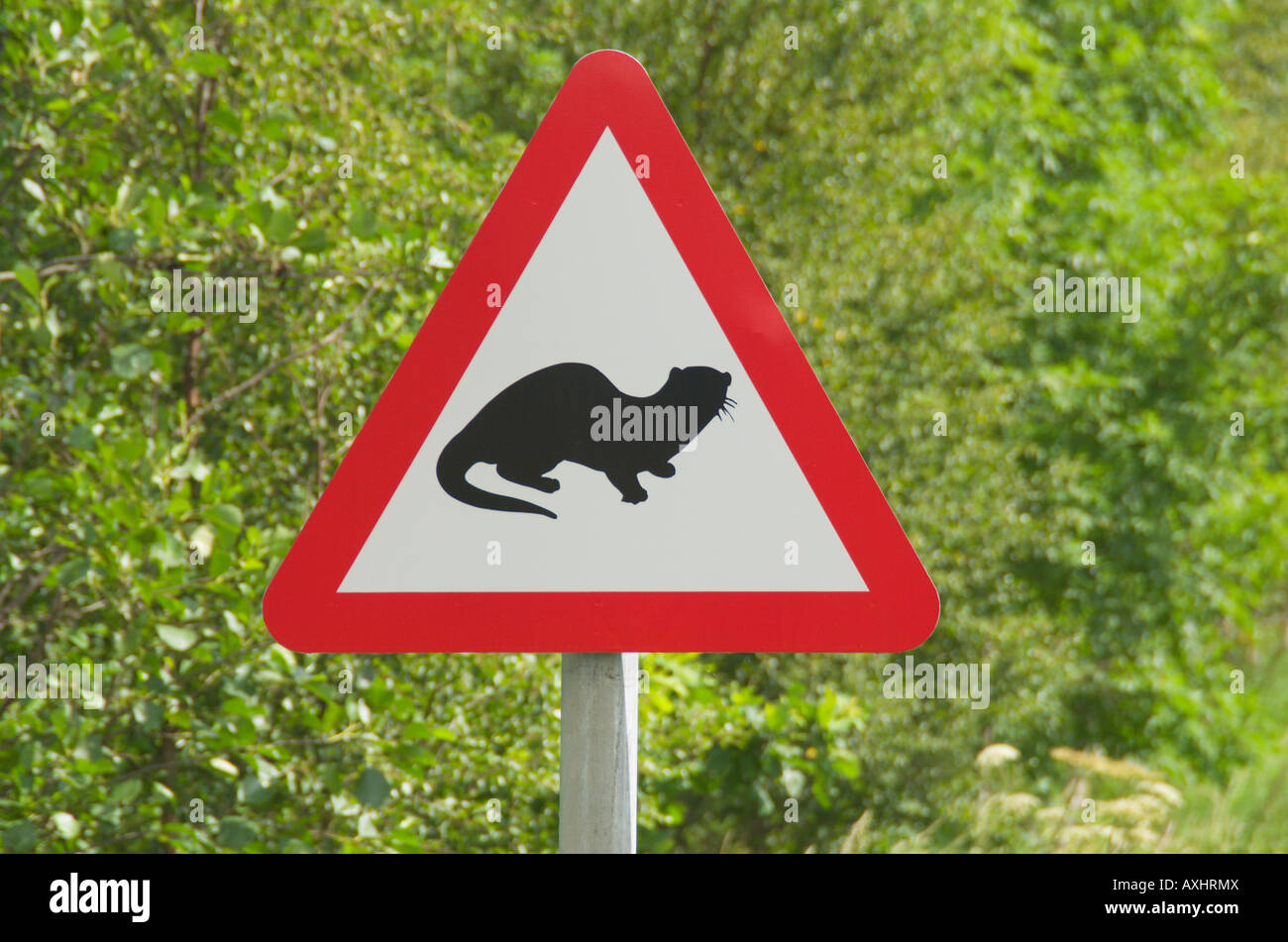 Otter warning sign against a background of green trees Stock Photo