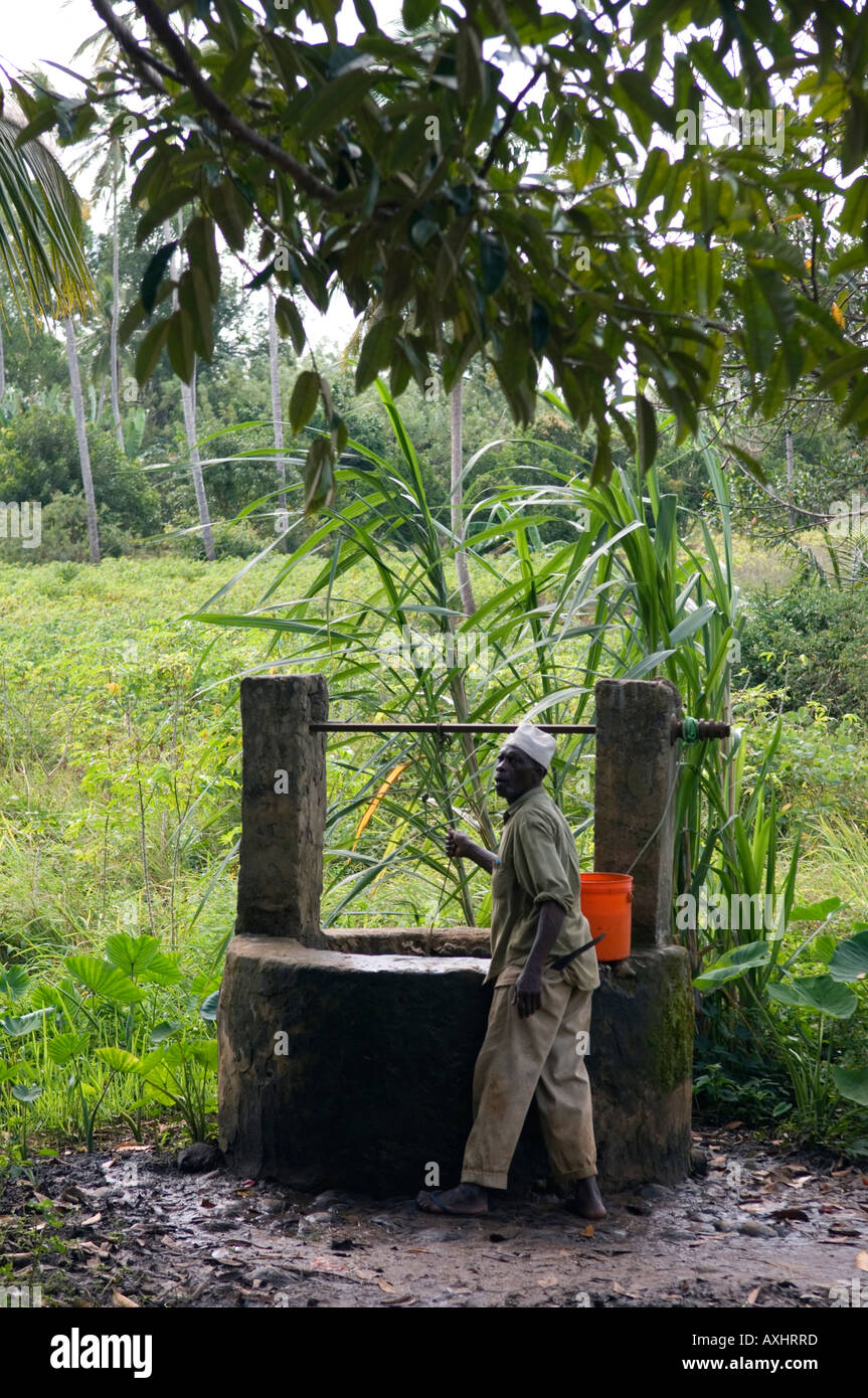 Tanzania Zanzibar collecting water from a well at a plantation Stock