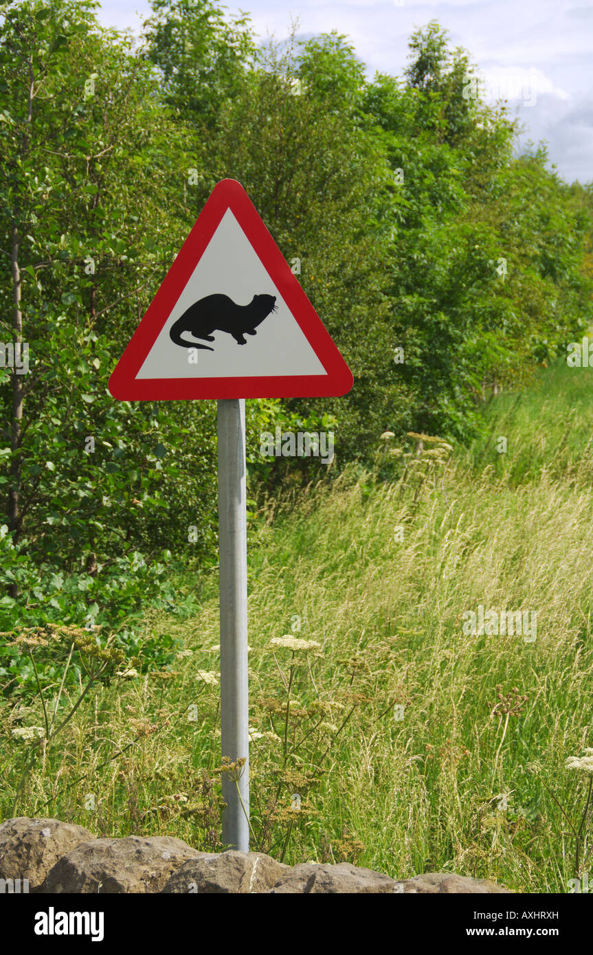 Otter warning sign in a field next to a stone wall Stock Photo