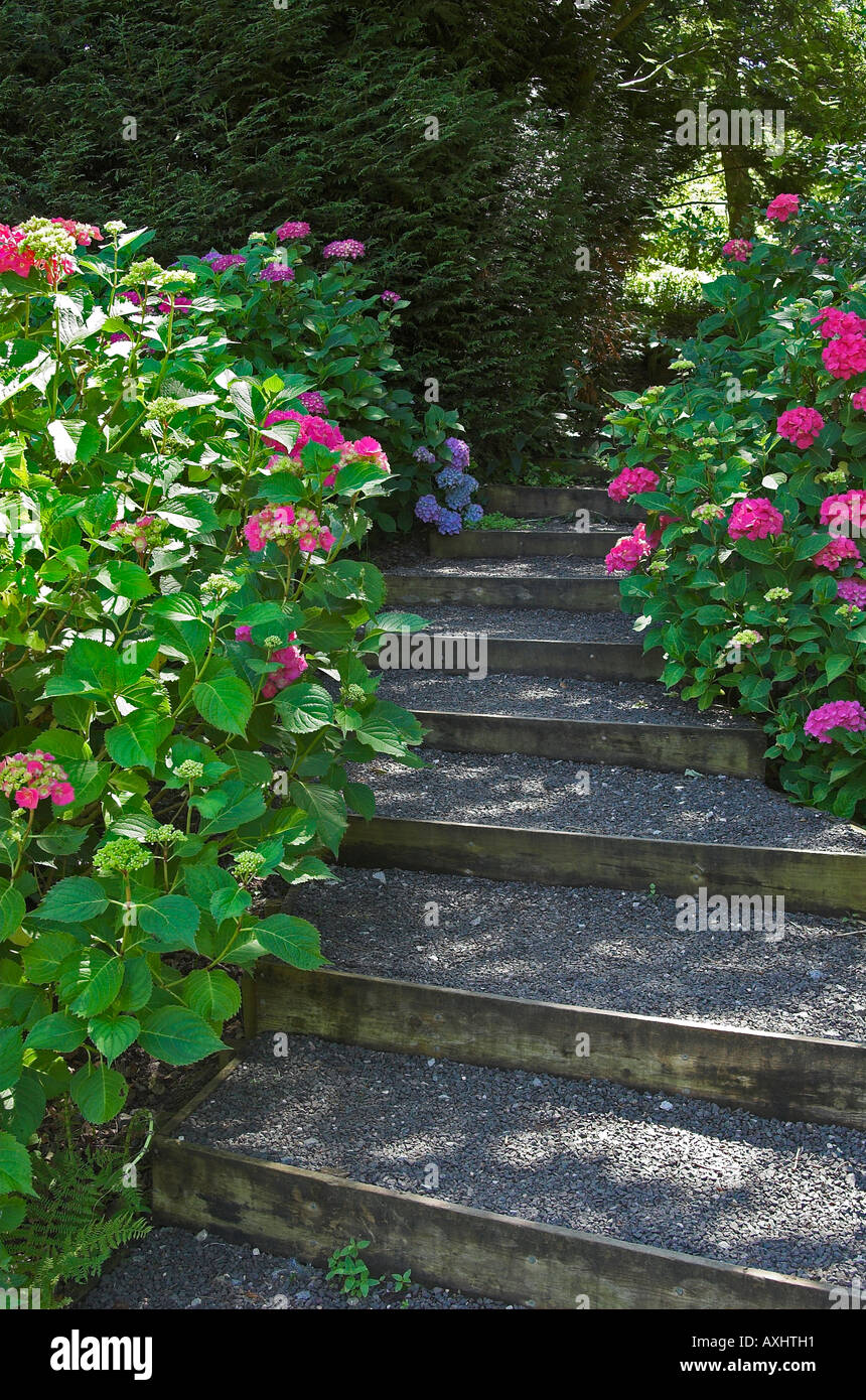 Rustic pathway with flowers in an English garden Stock Photo - Alamy