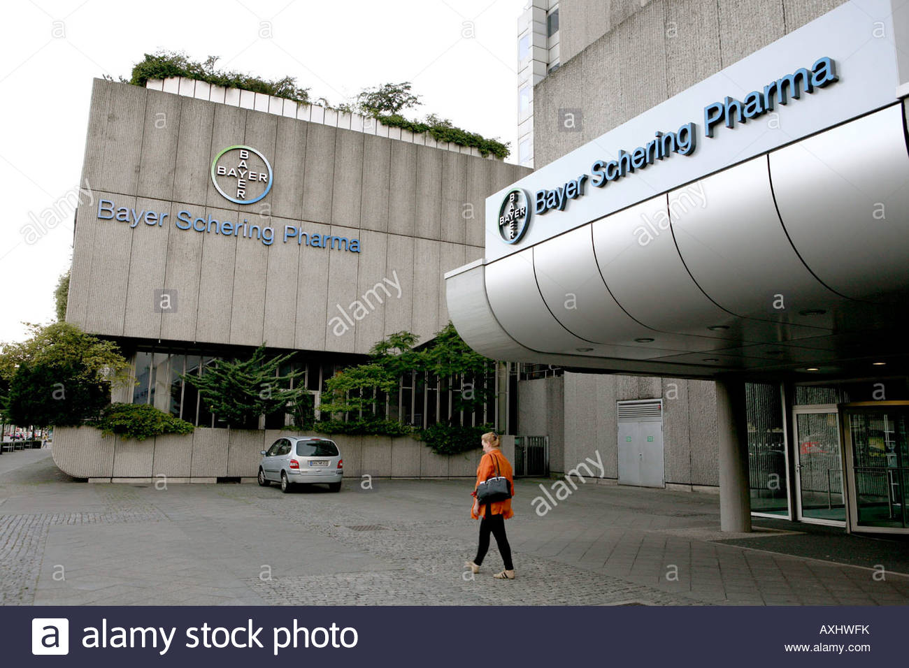 schering bayer schering bayer
