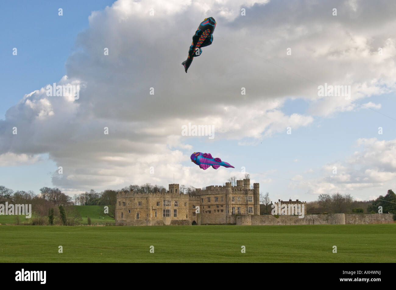 Kites over Leeds castle in Kent Stock Photo Alamy