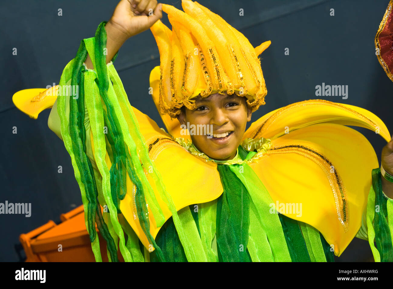 The world famous Carnaval parade at the Sambodromo Rio de Janeiro Brazil Stock Photo