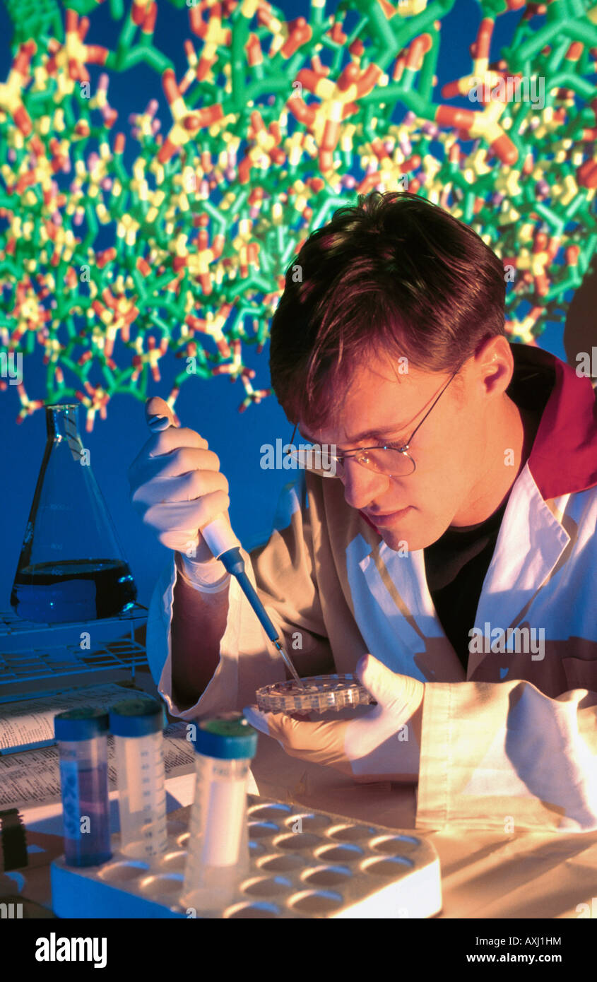 researcher molecular biology handling DNA in laboratory Stock Photo Alamy
