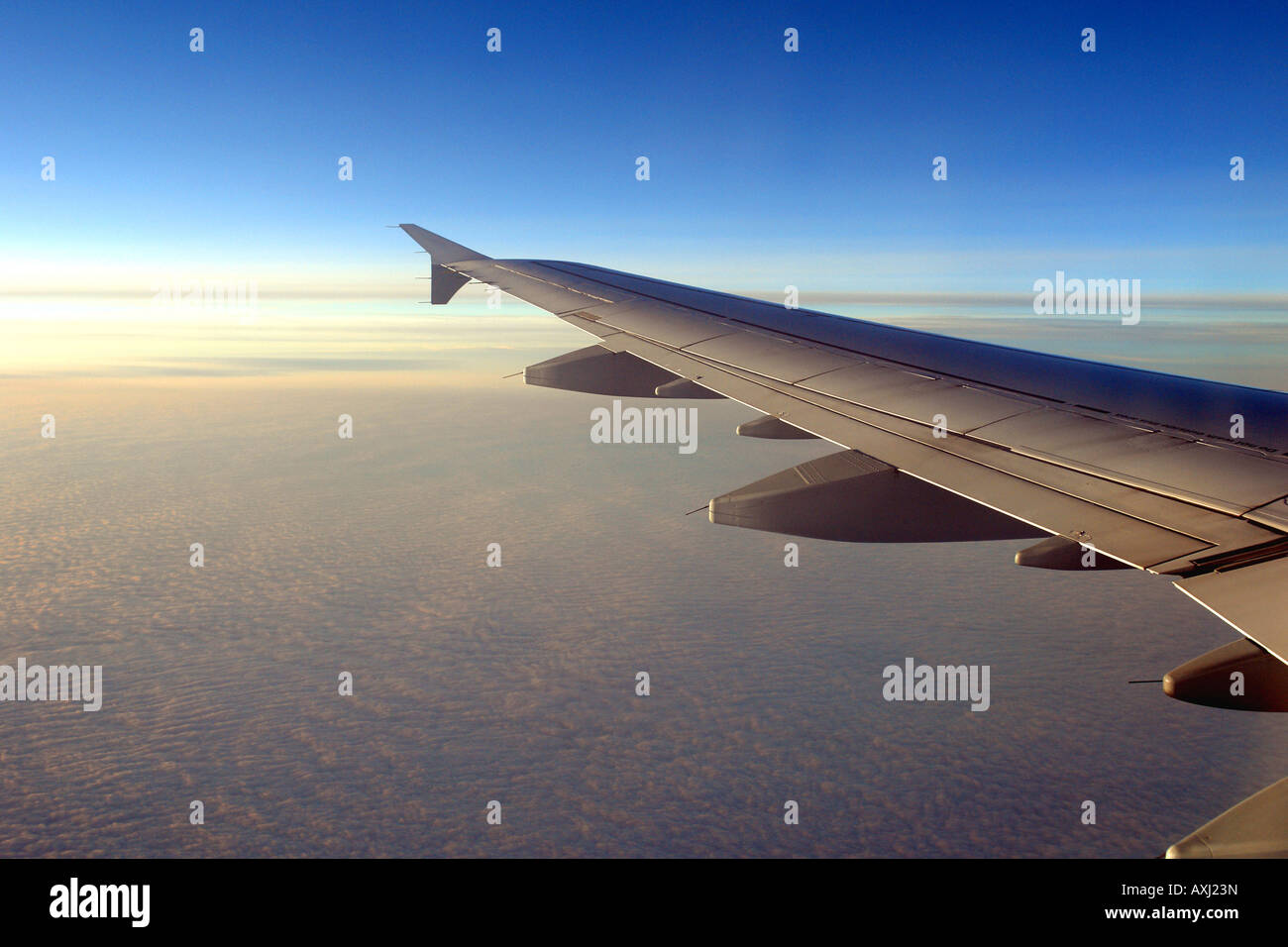 Cool wing hi-res stock photography and images - Alamy