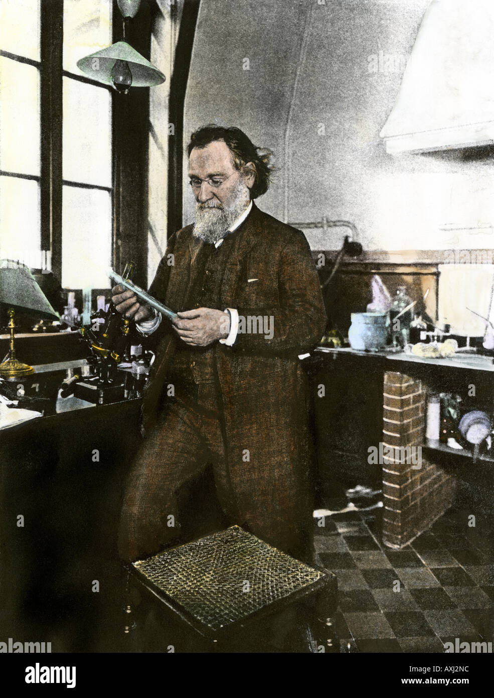 Metchnikoff hi-res stock photography and images - Alamy