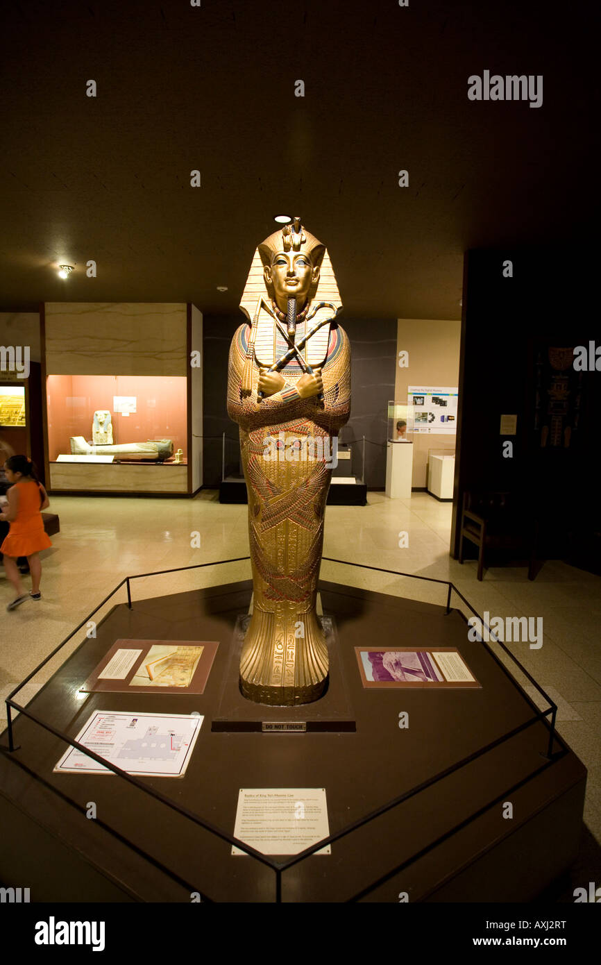 Rosicrucian Egyptian Museum - mummy exhibits and artifact folklore photo 1