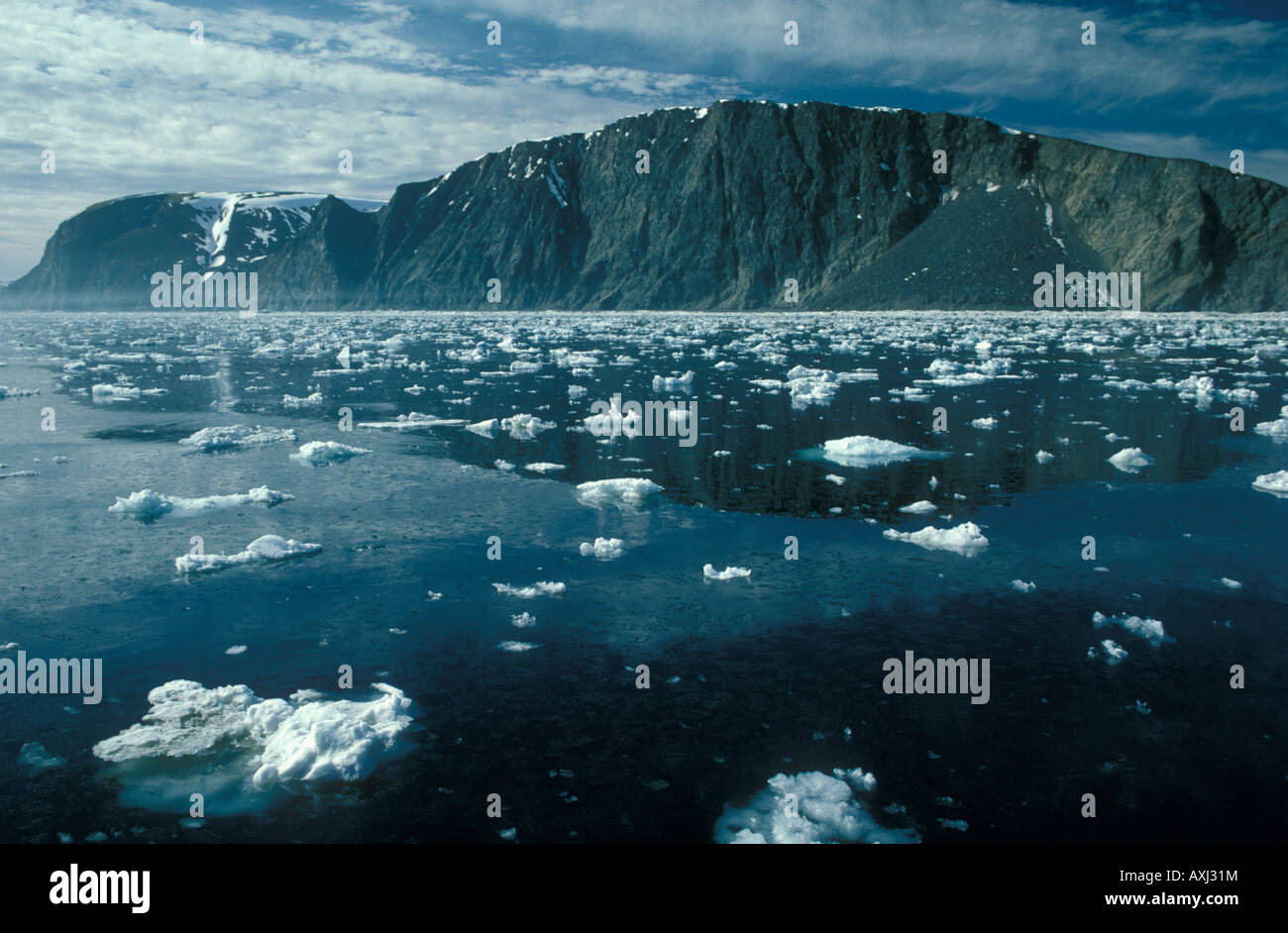 alaska-bering-sea-st-matthew-island-spring-AXJ31M.jpg