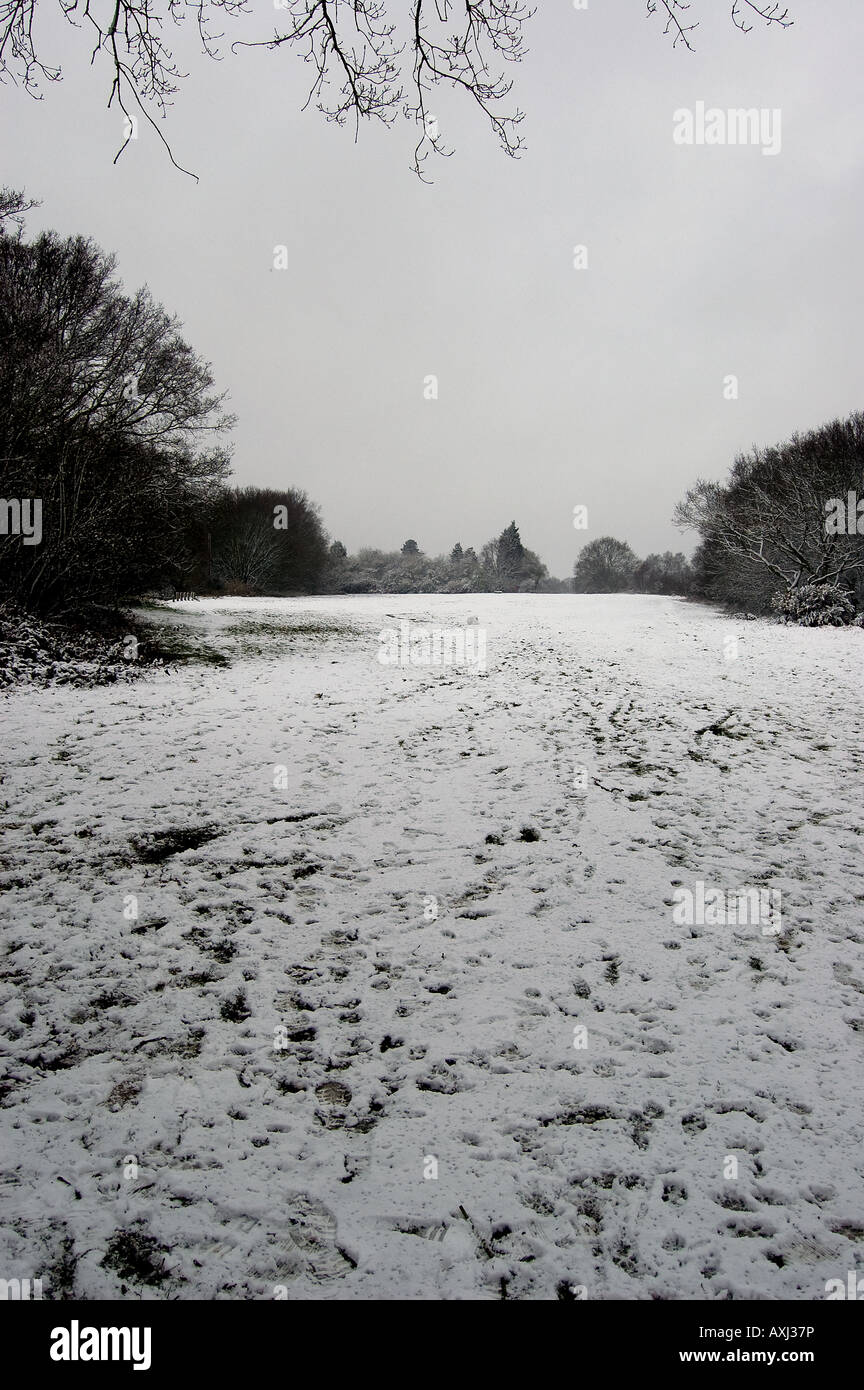 Galleywood Common with snow. Stock Photo