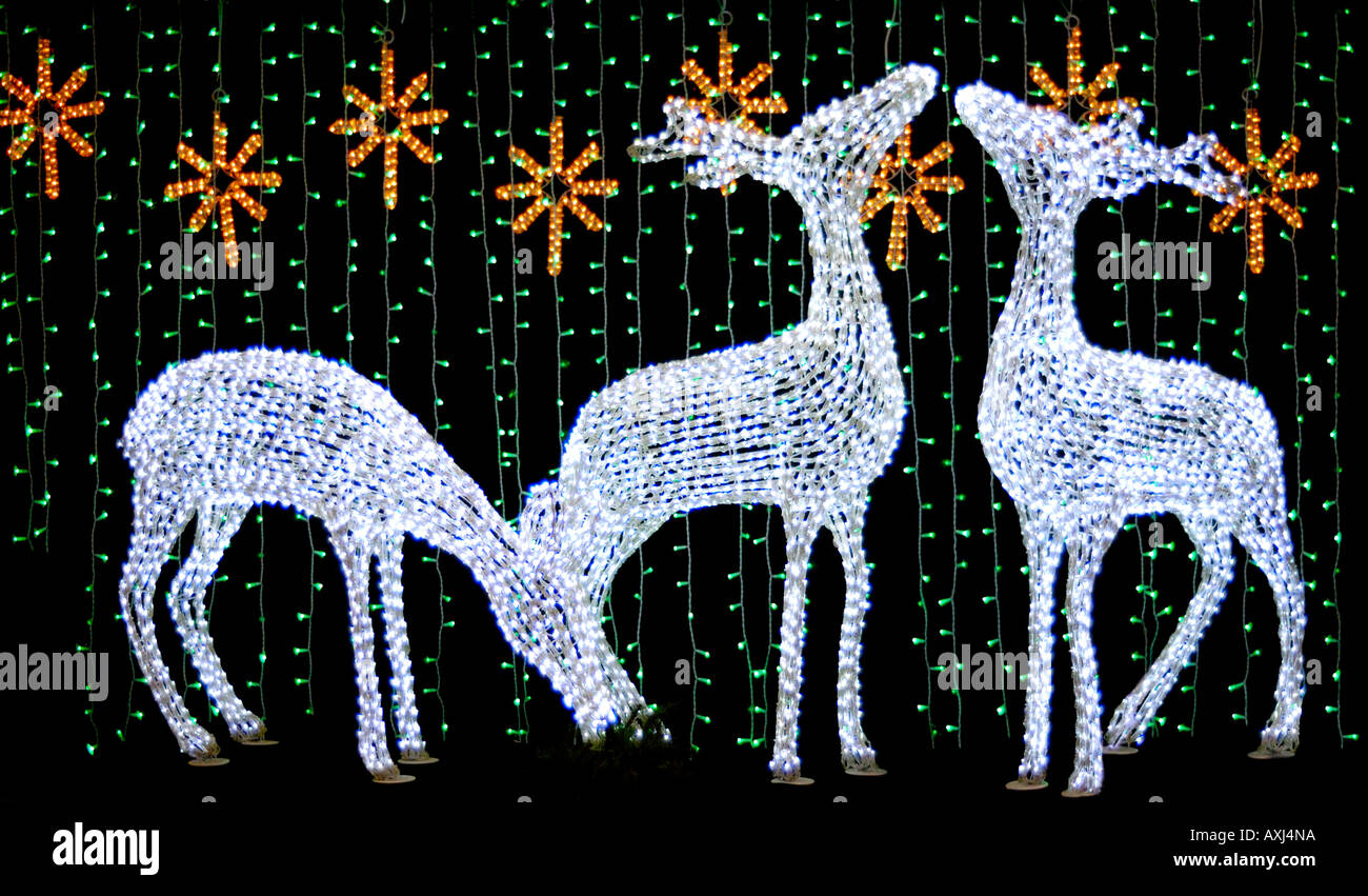 Christmas Deer Artistic Xmas Lights Decoration Stock Photo - Alamy