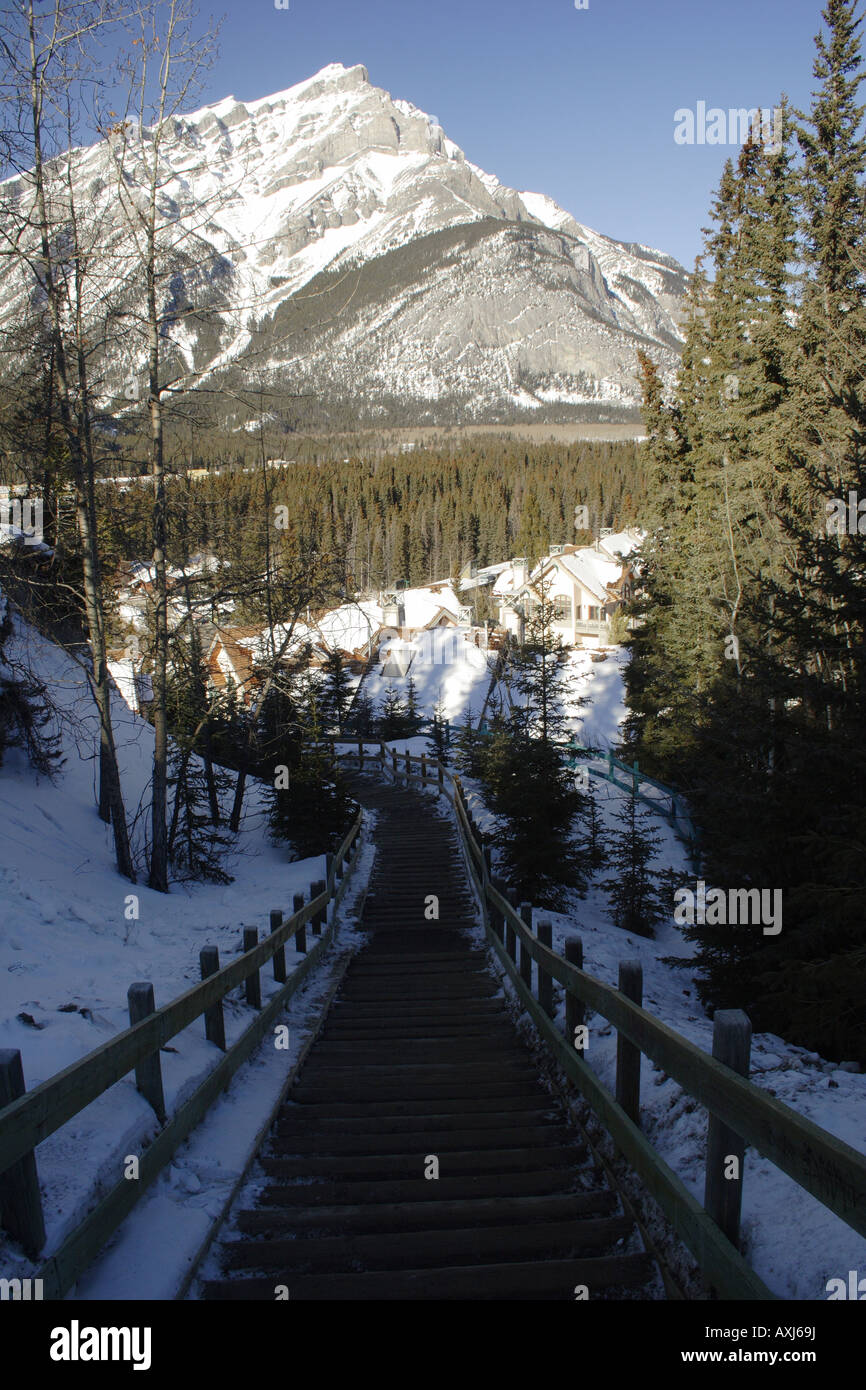 Trails around Banff village, Alberta Stock Photo