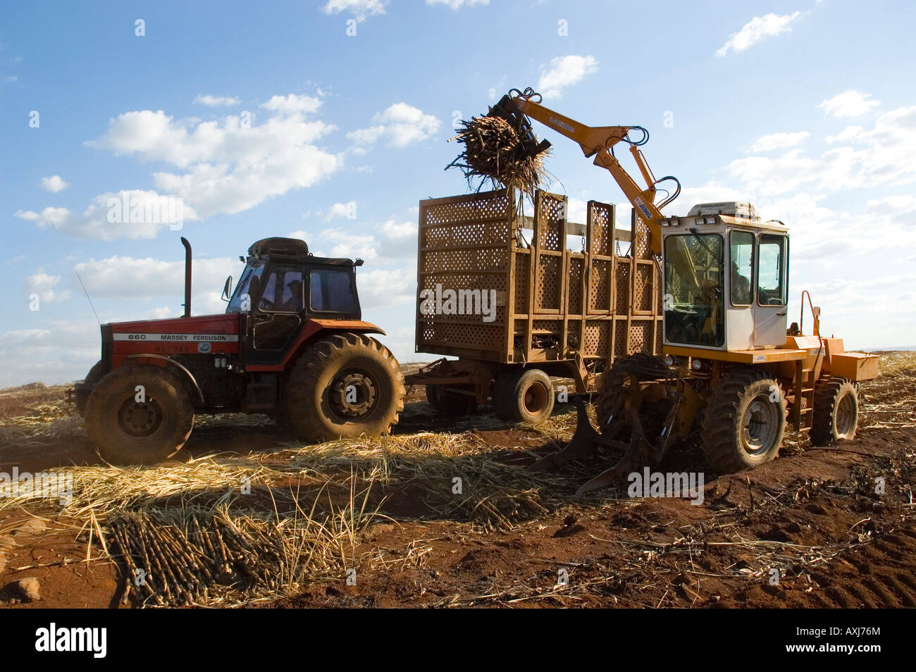 Tractors harvesting cane Stock Photo