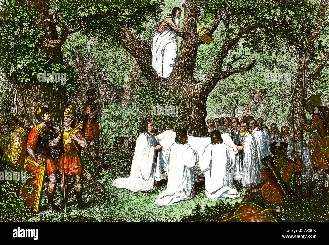 The triumph of christianity over paganism. омела кельты. кельтские жрецы друиды. священное растение для многих народов европы. друиды древних кельтов.