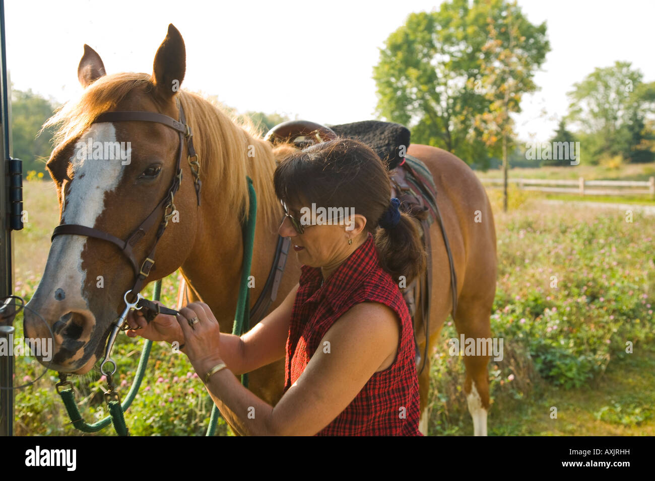 ILLINOIS Woman put bridle on before riding horse on trail at Raven Glen forest preserve horse