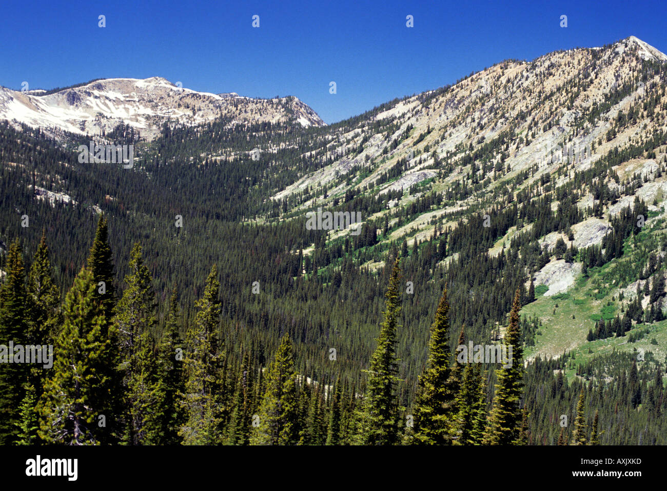 Frank Church River of No Return Wilderness area from Profile Summit