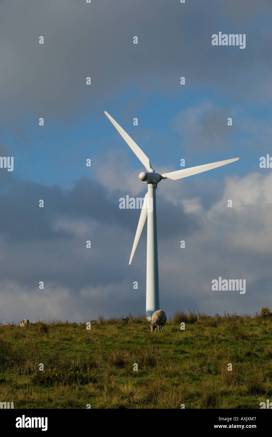 Best Micro Wind Turbine Generator Ideas for DIY Power Projects