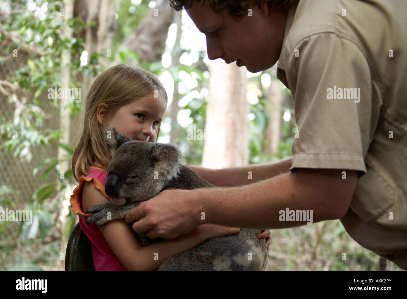 Young girl child being handed a Koala bear in Lone Pine Koala Sanctuary wildlife reserve zoo Brisbane Queensland QLD Australia O Stock Photo