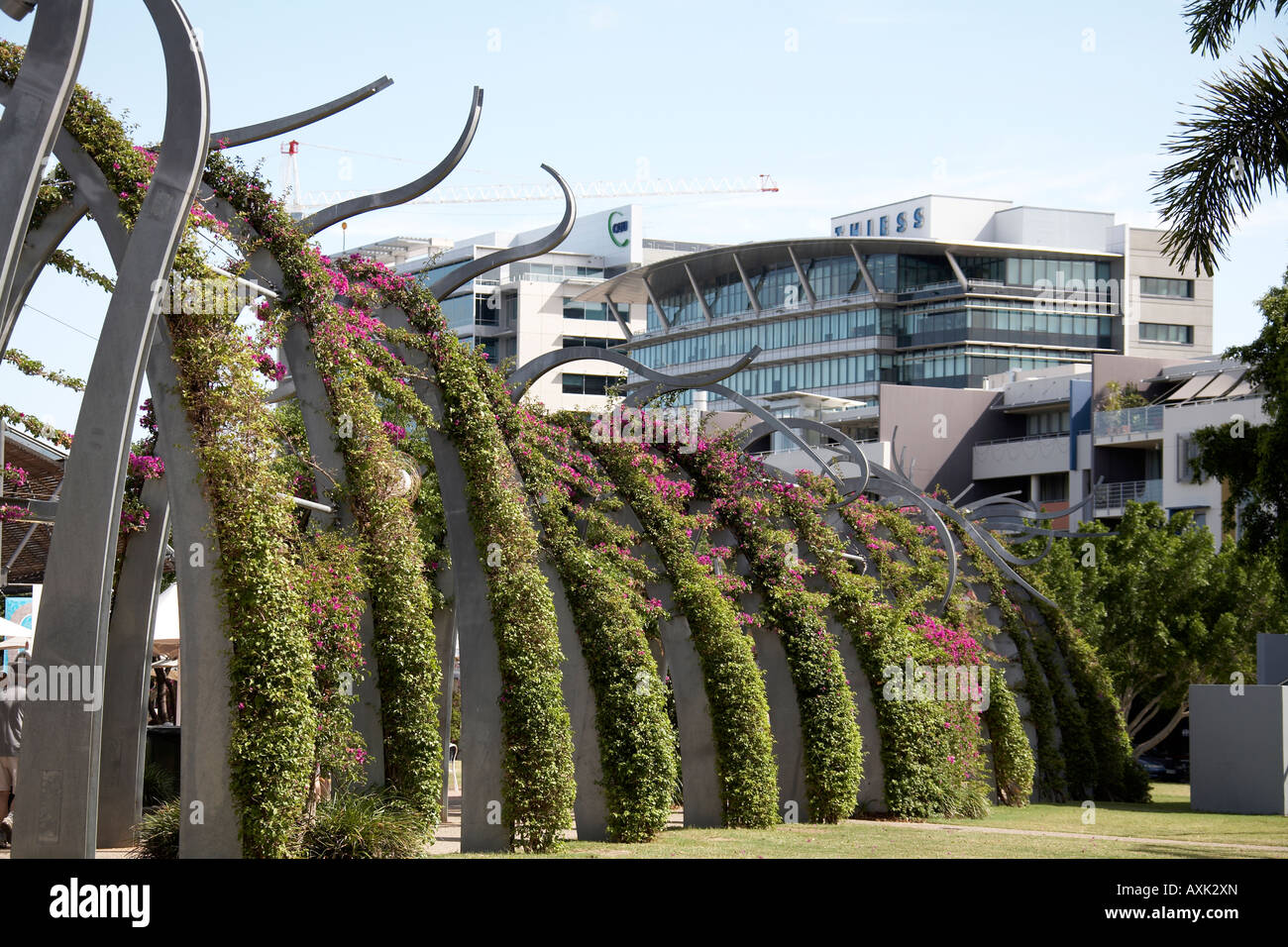 Sculptural contemporary Arbour walkway with bougainvilla on South Bank in Brisbane Queensland QLD Australia Stock Photo