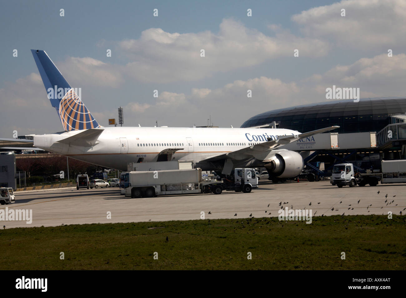 Continental Airlines aircraft at terminal at Charles de Gaulle airport France Europe EU Stock Photo
