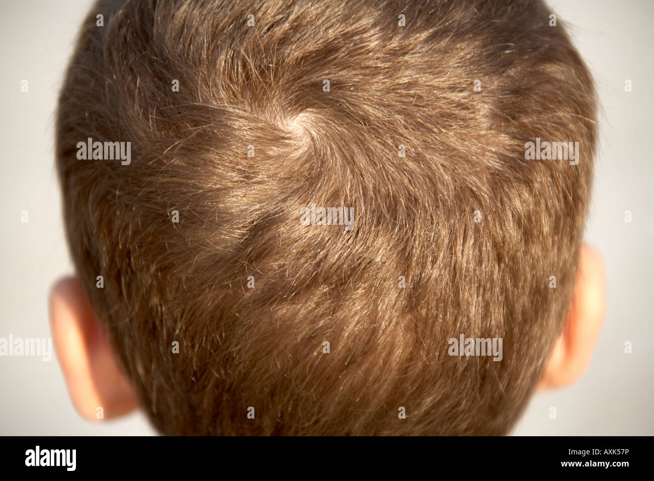 person-people-swirl-head-hi-res-stock-photography-and-images-alamy