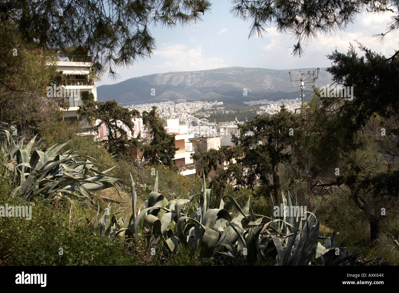 Suburbs seen through green plants on Likavitos or Lycabbetus hill in Athens or Athini Greece Stock Photo