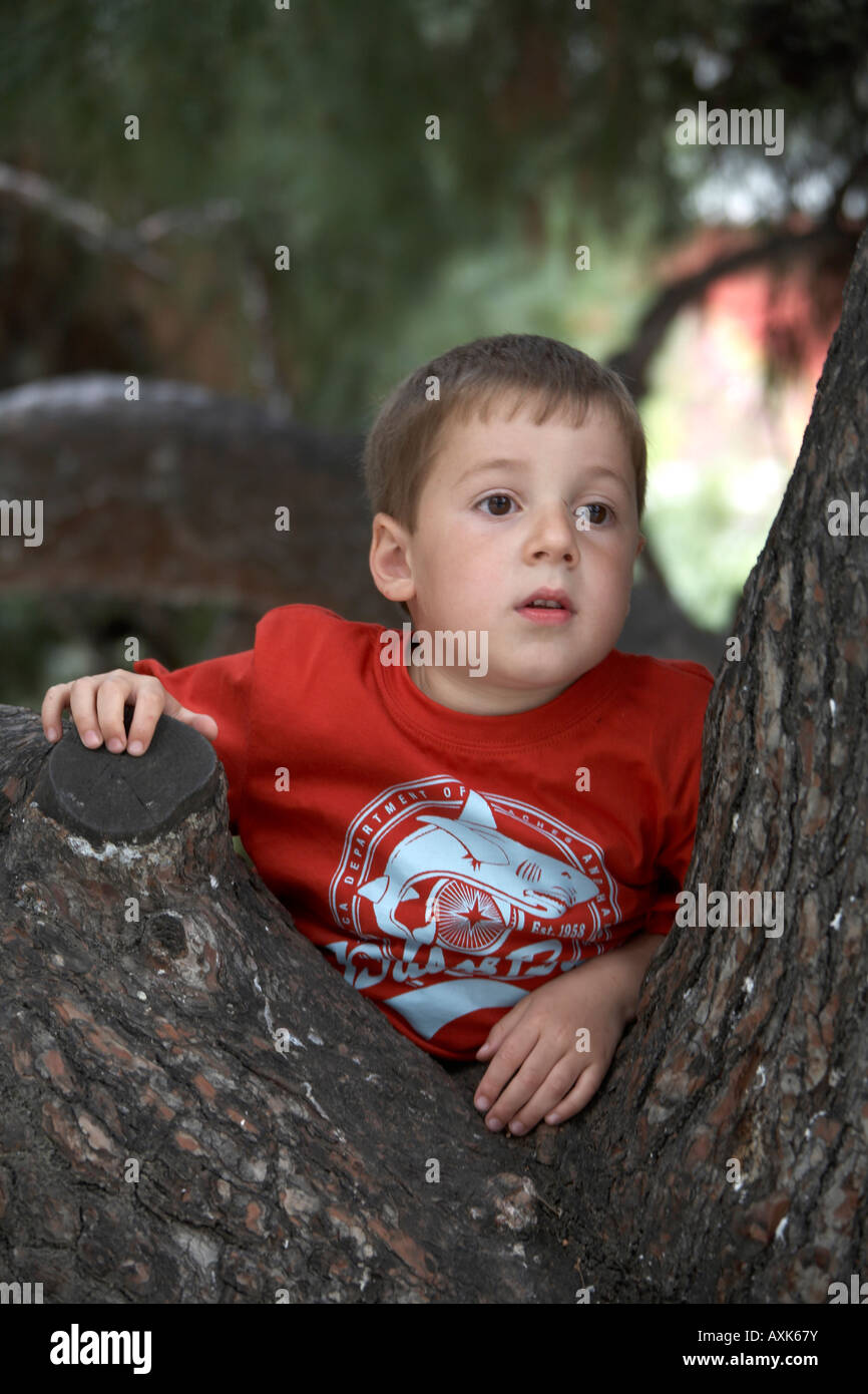 young-boy-child-climbing-in-a-pine-tree-in-dexameni-square-near