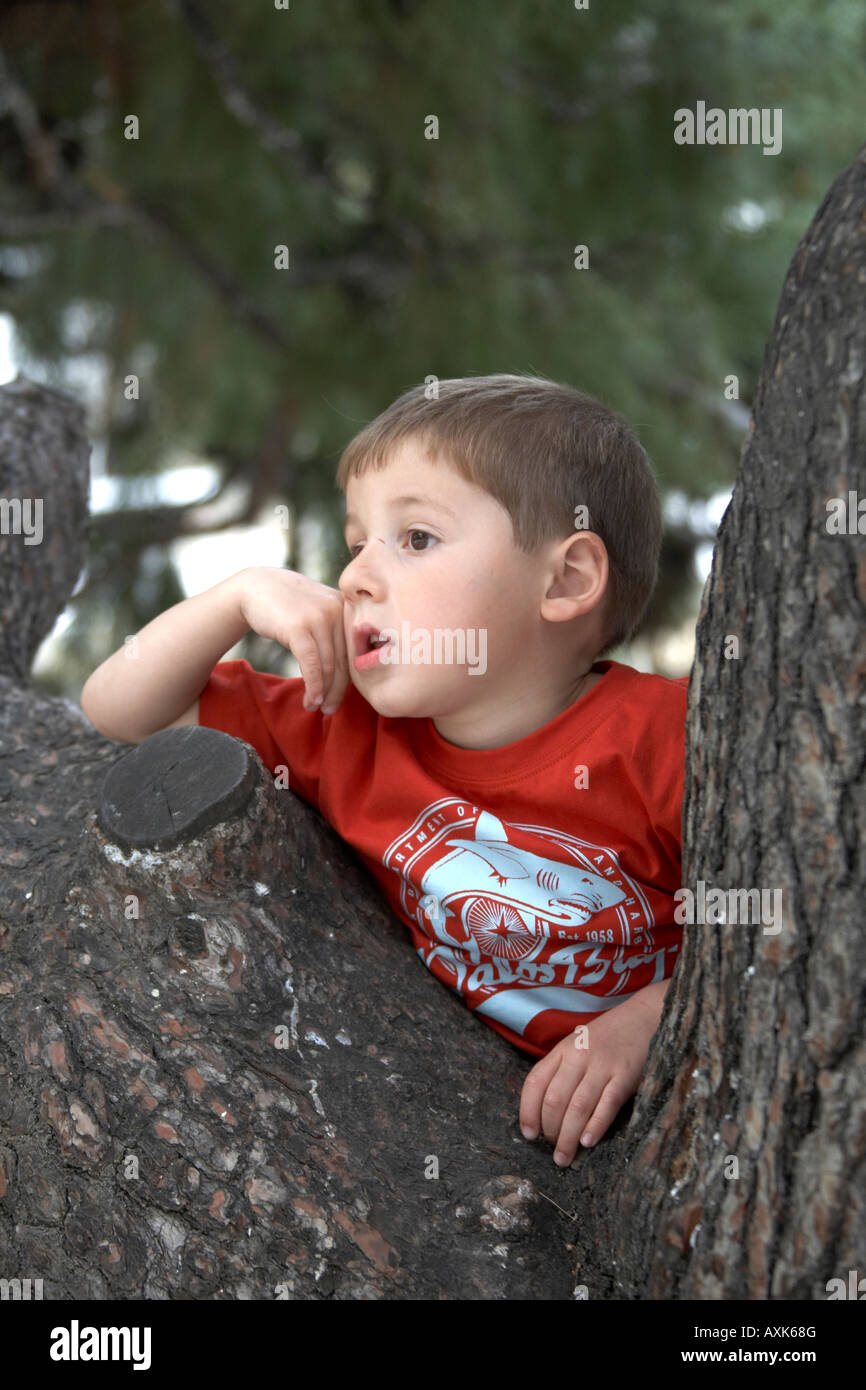 Young boy child climbing in a pine tree looking wistful in Dexameni Square near Kolonaki district Athens or Athini Greece CJWH Stock Photo