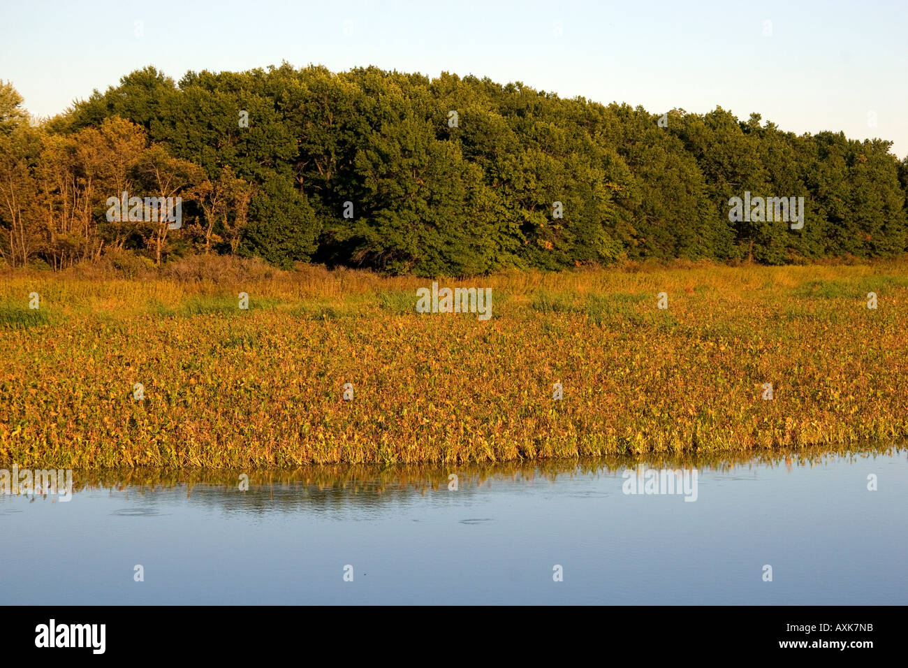 Swan Lake National Wildlife Refuge at Sumner Missouri Stock Photo - Alamy