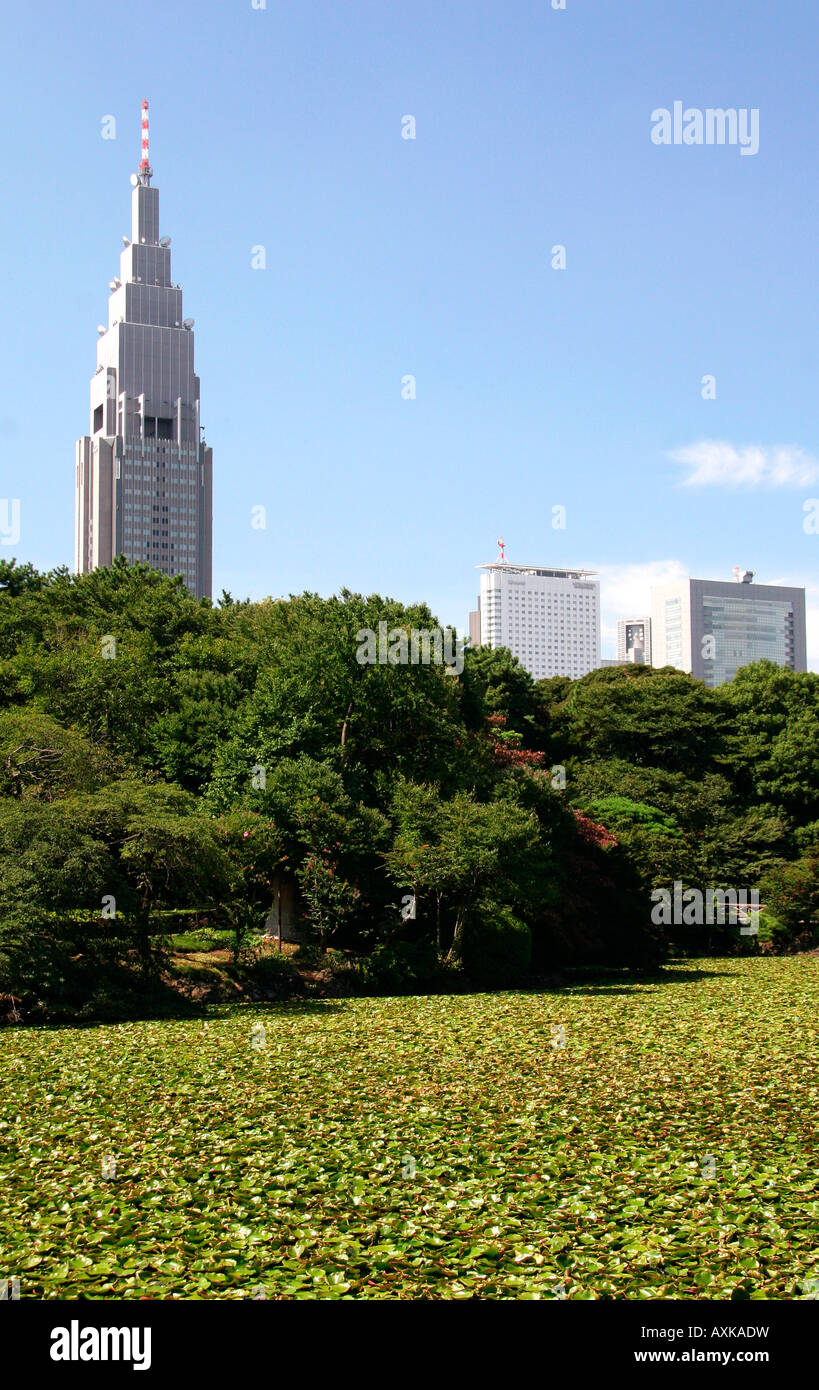 Shinjuku Gyoen Park, Tokyo, Japan Stock Photo - Alamy