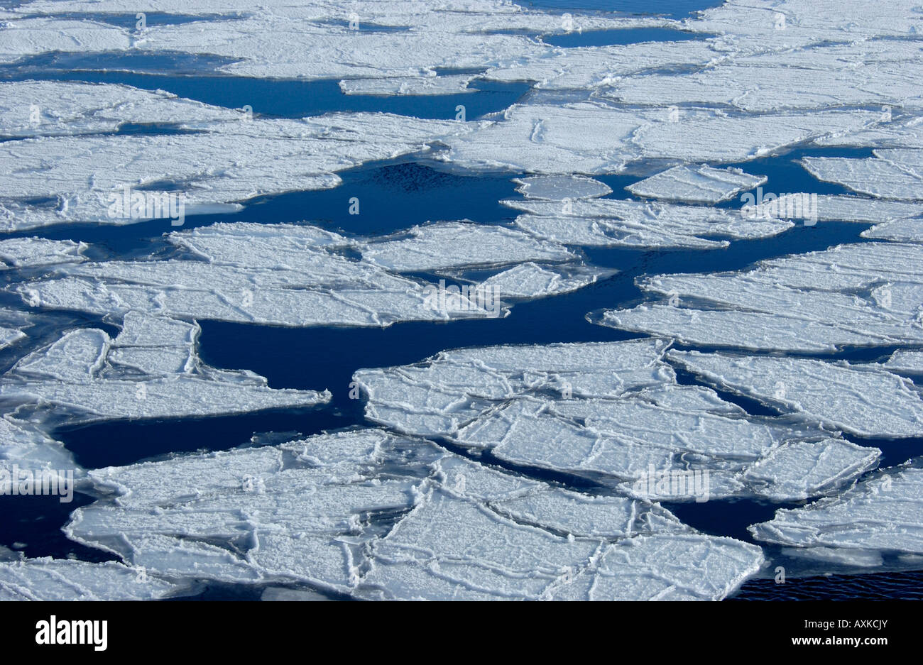 Pancake Ice Ross Sea Antarctica Stock Photo