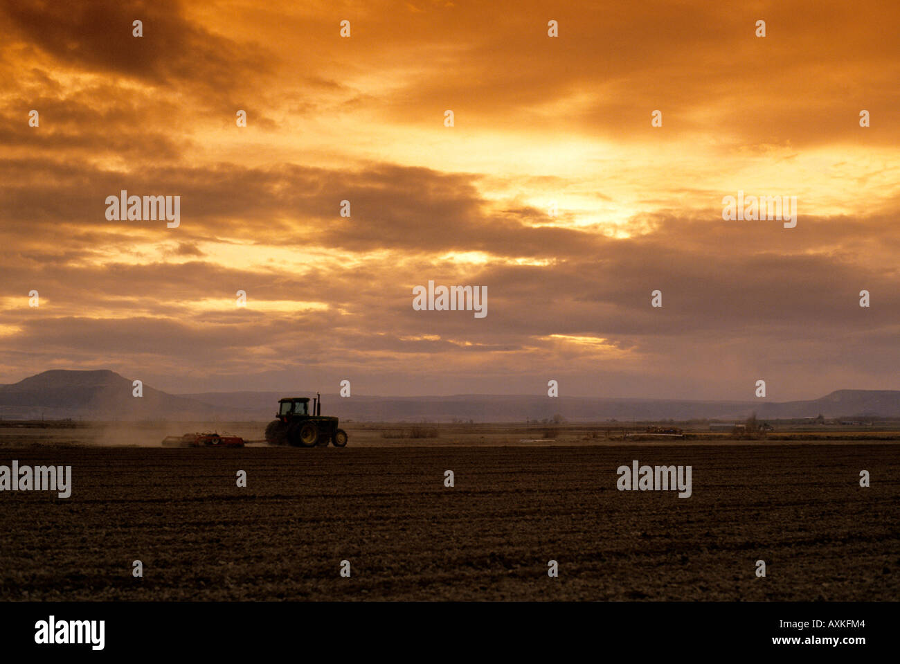 A tractor spring tilling a field in Canyon County Idaho Stock Photo