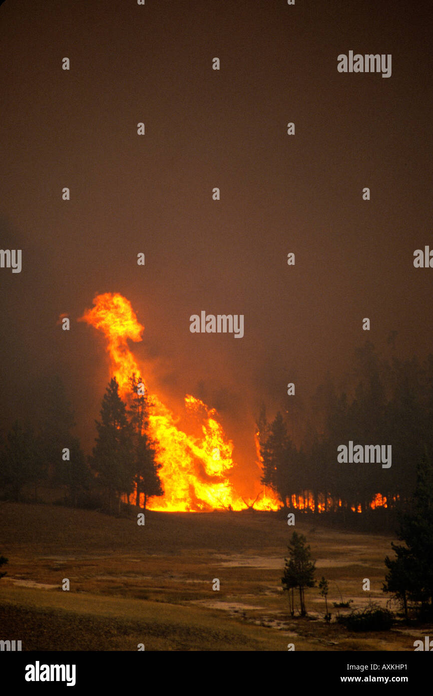 Yellowstone fire 1988 hires stock photography and images Alamy