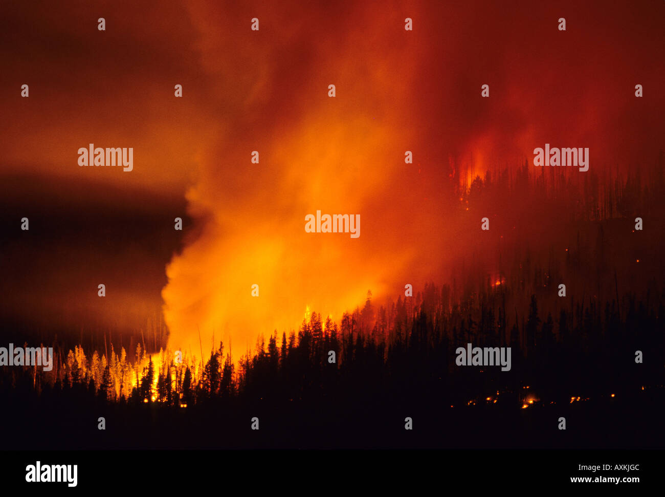 A forest fire at night in the Boise National Forest Idaho Stock Photo