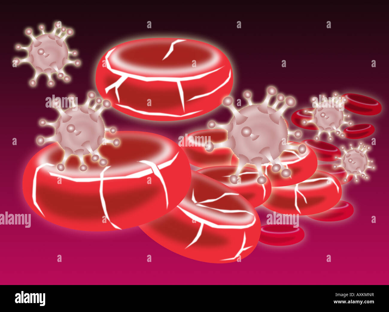blood cells being attacked by virus Stock Photo - Alamy