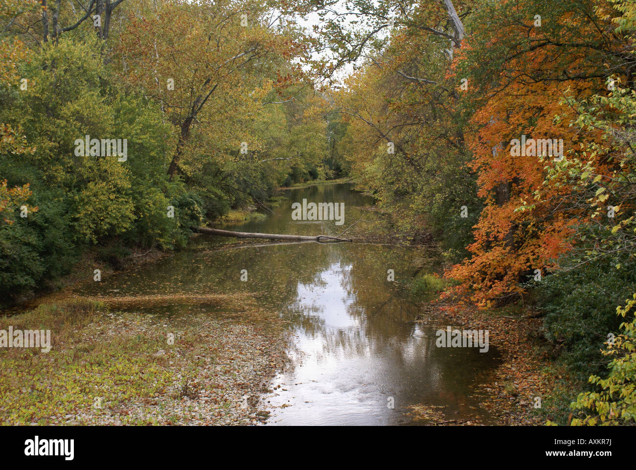 Summer changing to autumn hi-res stock photography and images - Alamy