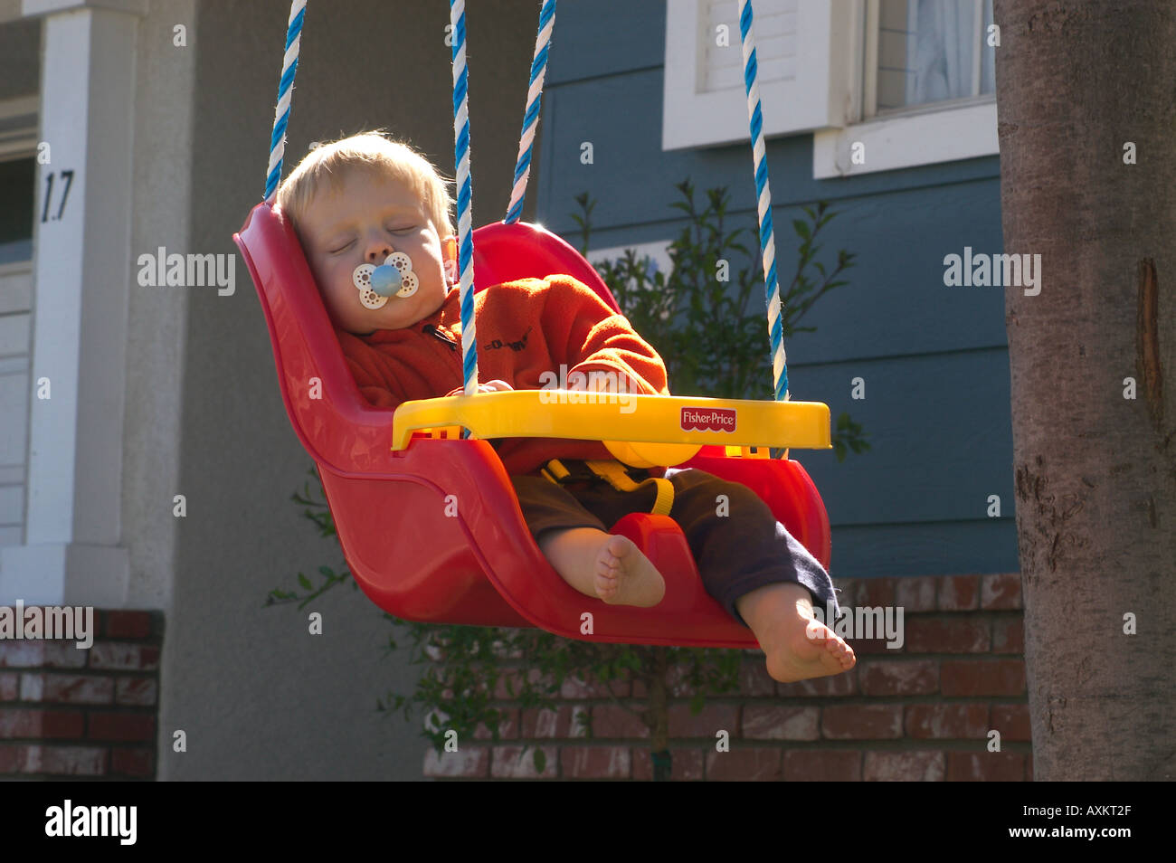 Fisher price cheap tree swing